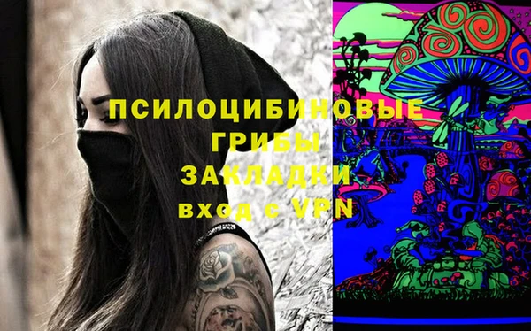 эйфоретик Алзамай