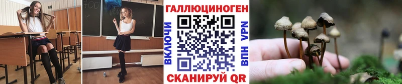 Псилоцибиновые грибы Psilocybe  купить   MEGA зеркало  Киренск 